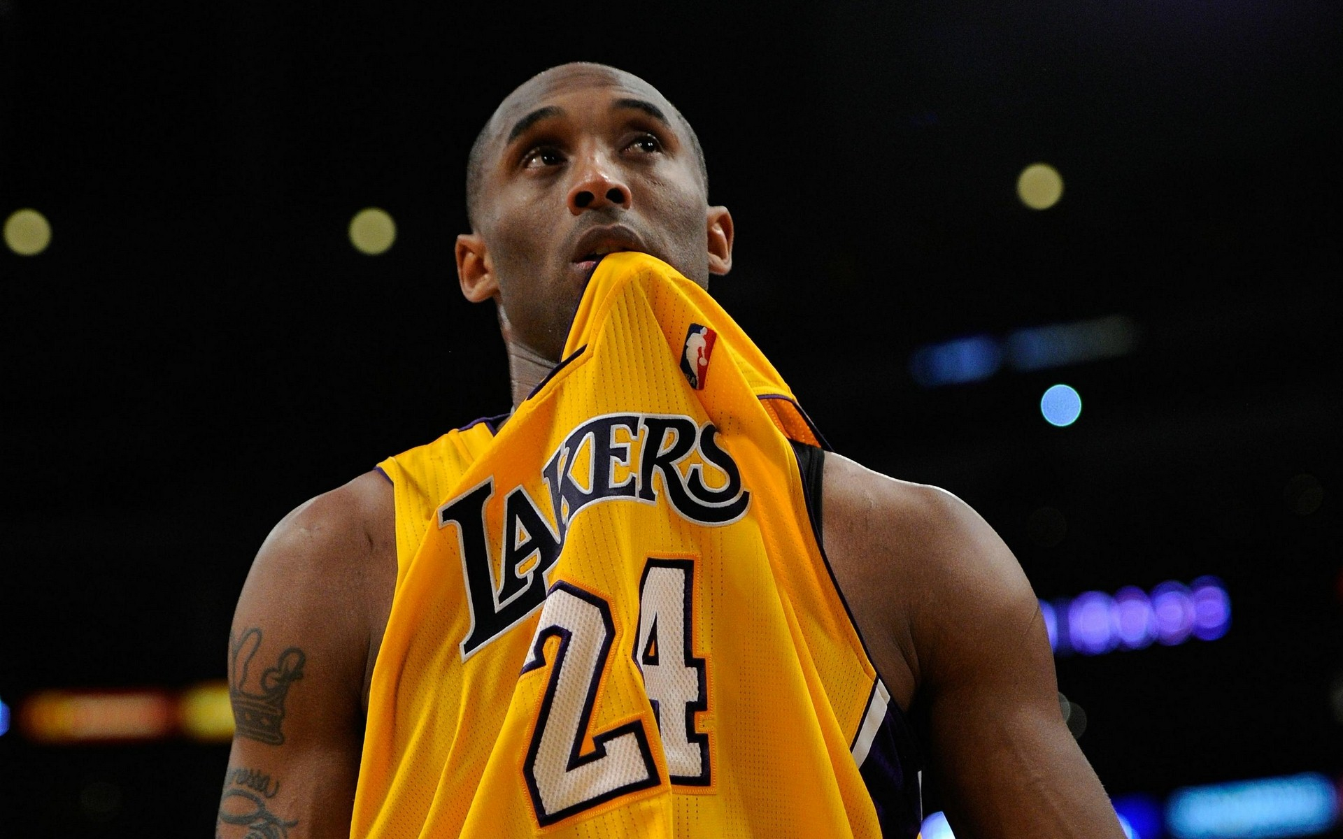 从来不只是 从来不只是