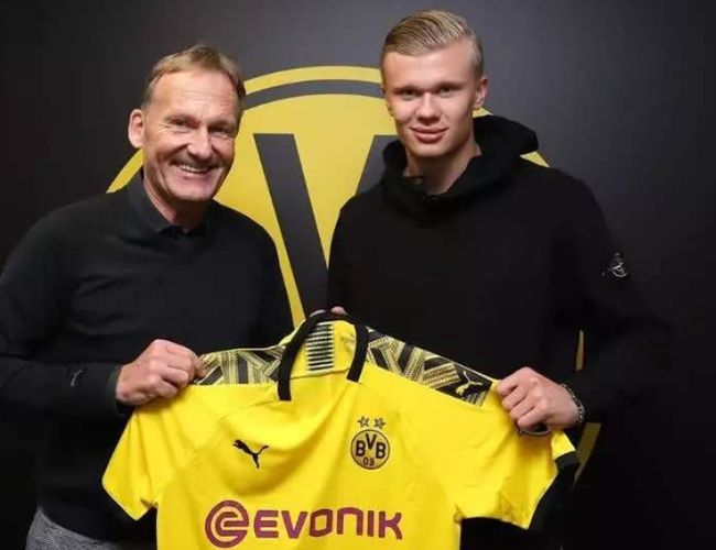 案例对照提 案例对照提