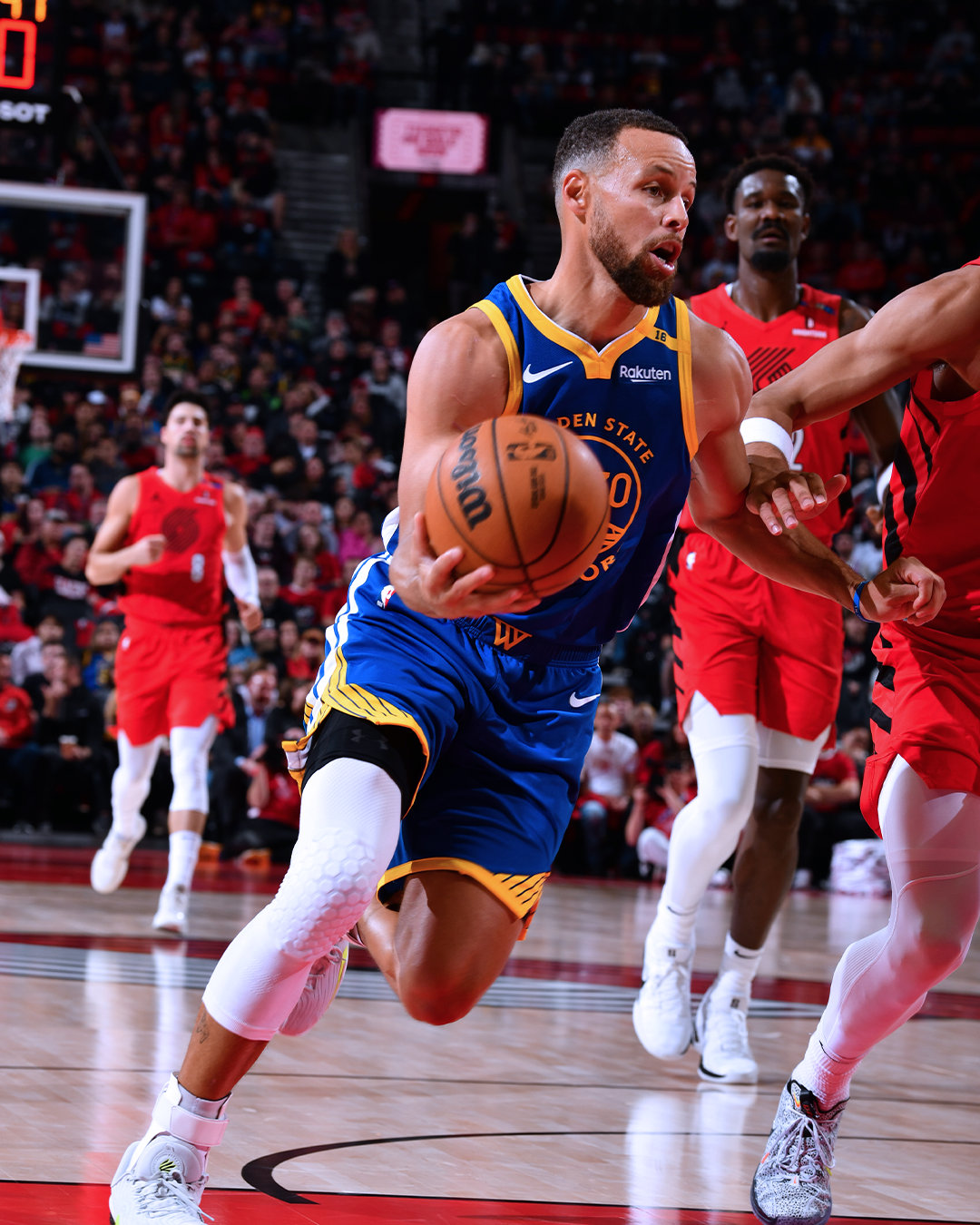 并不罕见 并不罕见